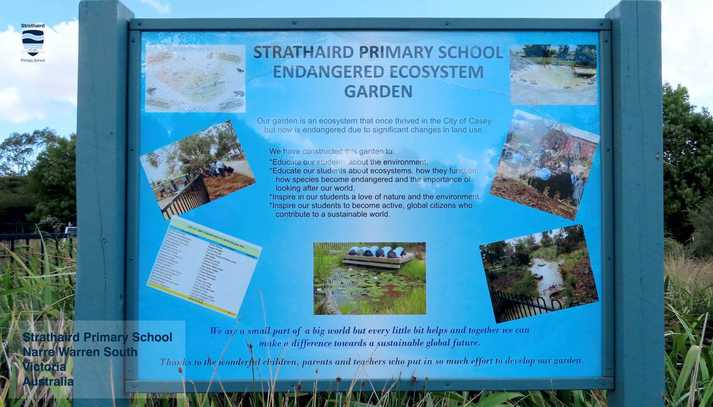 Daily School Life Strathaird Primary School