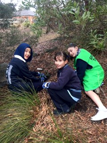2021 Sustainability Strathaird Primary School