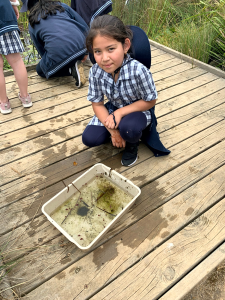 2021 Sustainability Strathaird Primary School