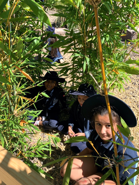 2021 Sustainability Strathaird Primary School
