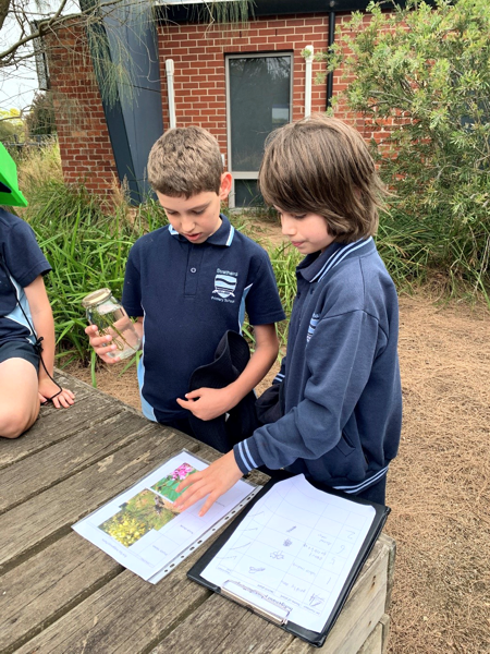 2021 Sustainability Strathaird Primary School