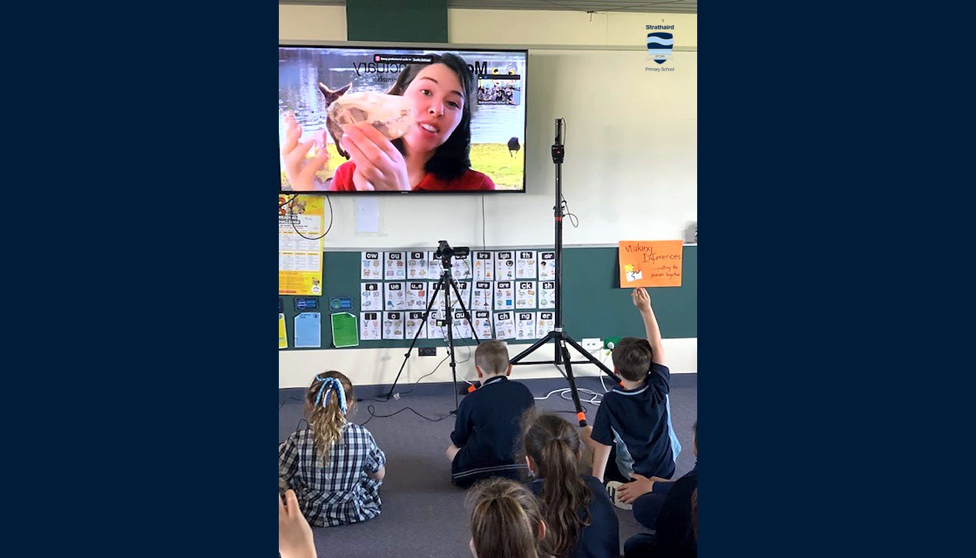 2021 Grade 1 Incursion Moonlit Sanctury